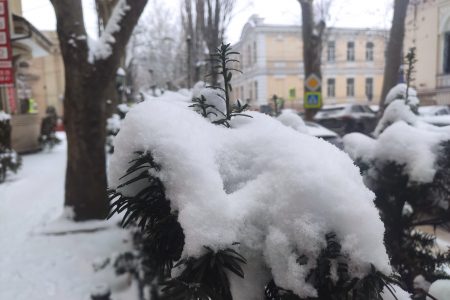 Ninsorile vor continua și astăzi, și mâine