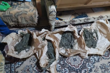 VIDEO/ Captură de droguri estimată la circa 400 de mii de lei, depistată de oamenii legii la Edineț