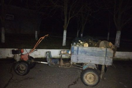 Doi moldoveni, prinși la pescuit în apele de frontieră cu unelte interzise, iar al treilea în timp ce tăia ilicit arbori în zona de frontieră