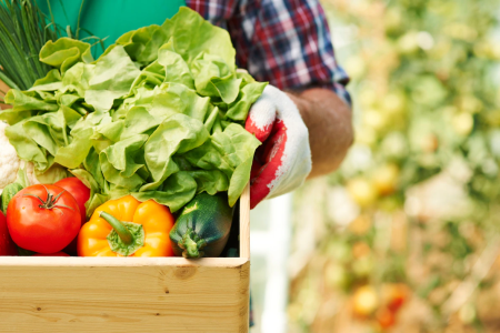 Producția agricolă globală s-a micșorat cu 29,8%