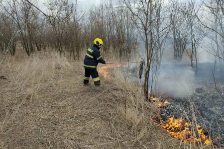 VIDEO/ Salvatorii și pompierii au intervenit în 12 cazuri de lichidare a focarelor de vegetație uscată