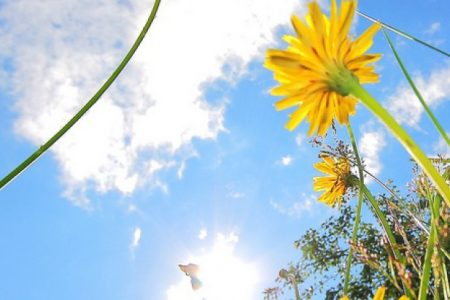 Cer variabil pentru astăzi: Câte grade anunță meteorologii