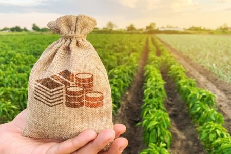 Guvernul va susține financiar fermierii micro și mici, afectați de consecințele crizelor