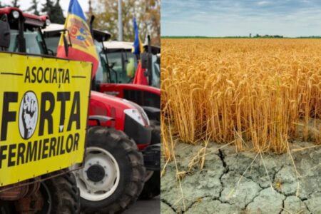 Asociația „Forța Fermierilor” solicită introducerea stării de urgență în agricultură la nivel de țară