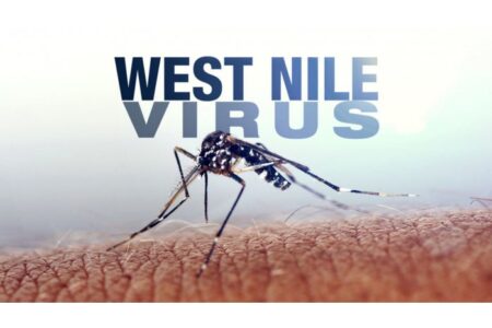 În Republica Moldova a fost înregistrat recent un caz de infecție cu virusul West Nile. Este vorba despre un bărbat de 49 de ani