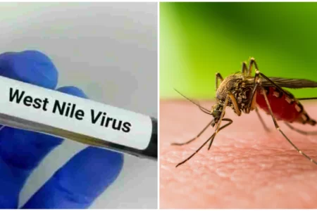 În Grecia se înmulțesc cazurile de infectare cu virusul West Nile, provocat de înțepătura de țânțar