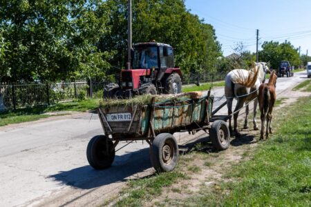 Satul Frasin din raionul Dondușeni a rămas practic fără locuitori. „Aceștia bătrâni mor. Acești tineri se duc la lucru că nu au cu ce trăi”