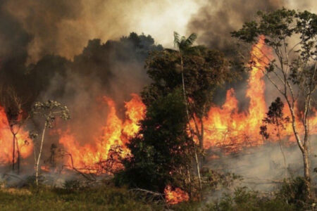Ecuador: Incendiile au ajuns deja în apropiere de Capitală
