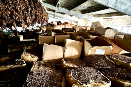 O fabrică clandestină de producere a țigărilor, descoperită la Fălești