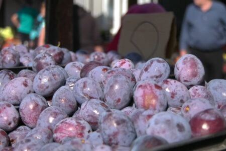 VIDEO/ Ploile torențiale de la sfârșitul săptămânii trecute au scăzut calitatea recoltei de fructe