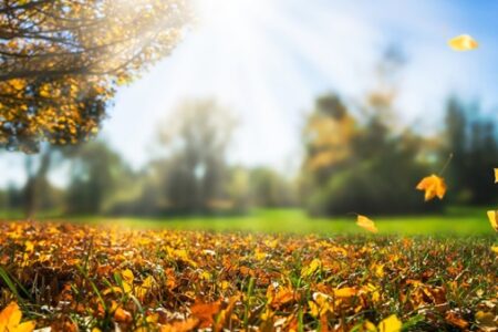 Vremea continuă se ne bucure cu temperaturi confortabile și cer însorit