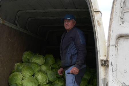 VIDEO/ În pofida prețurilor majorate, varza este la mare căutare în piețe din Căușeni