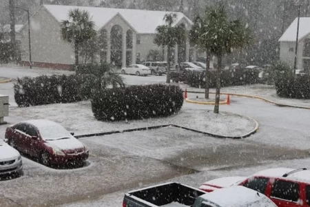 Florida, acoperită de zăpadă. În unele zone, cursurile au fost anulate